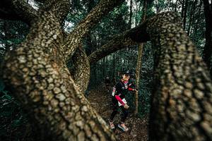 BIB: 
                            <button type="button" onclick="openModal(25393530)" class="btn btn-primary btn-sm float-right btn-popup" data-toggle="modal" data-target=".modal-high-quality">
                        <i class="fas fa-shopping-cart"></i> Add to Cart
                    </button>
                                            <button type="button" onclick="isThisMe(25393530, true)" class="btn btn-success btn-sm float-right btn-popup btn-isme hidden" data-toggle="tooltip" data-placement="bottom" title="นี่คือรูปของคุณใช่ไหม คลิกที่นี่เพื่อเอาเข้าอัลบั้ม">
                        <i class="fas fa-plus"></i> Add to album
                    </button>
                    <button type="button" onclick="isThisMe(25393530, false)" class="btn btn-warning btn-sm float-right btn-popup btn-isnotme hidden">
                        <i class="fas fa-ban"></i> Remove from album
                    </button>